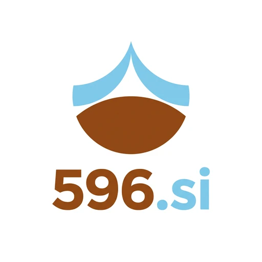 596.si logo