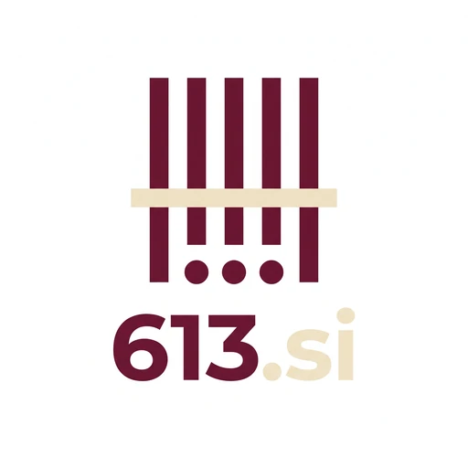 613.si logo