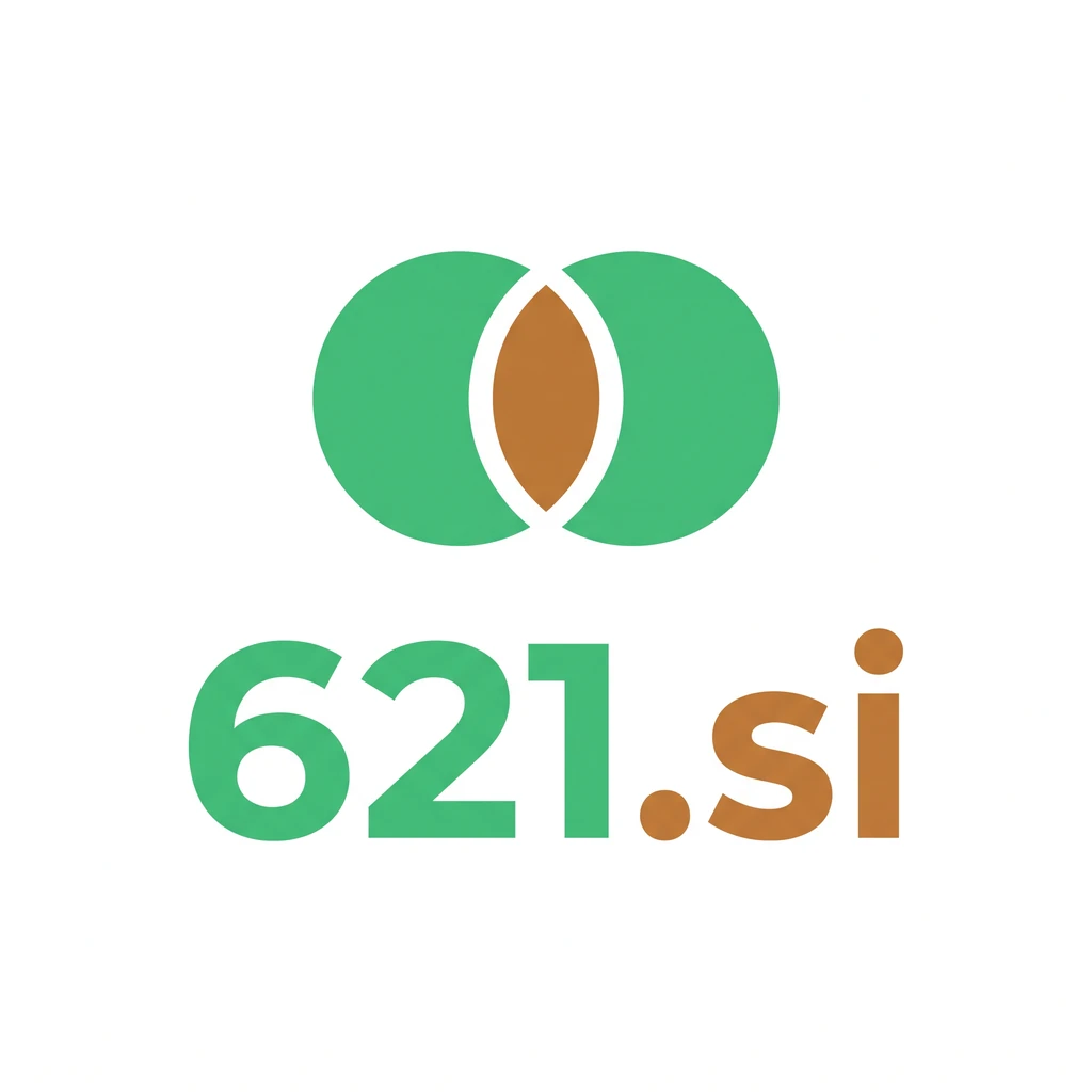621.si logo concept