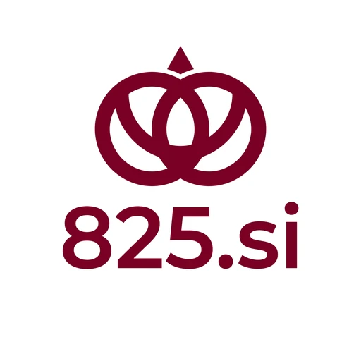 825.si logo