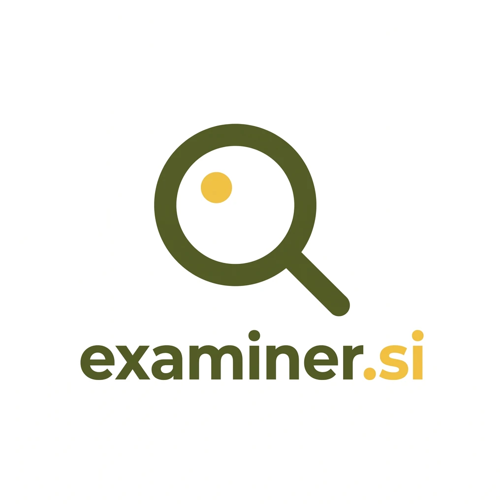 examiner.si logo concept