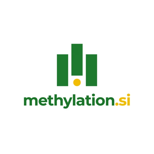 methylation.si logo