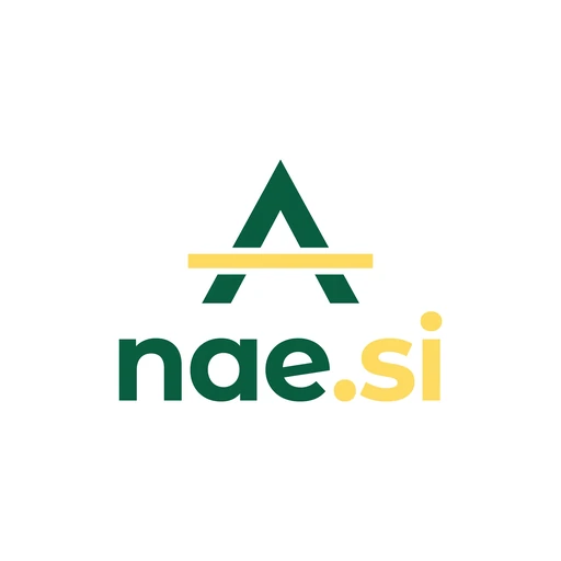 nae.si logo